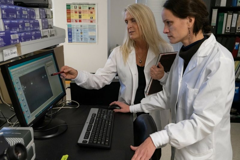 Two people wearing lab coats look at a computer screen. 