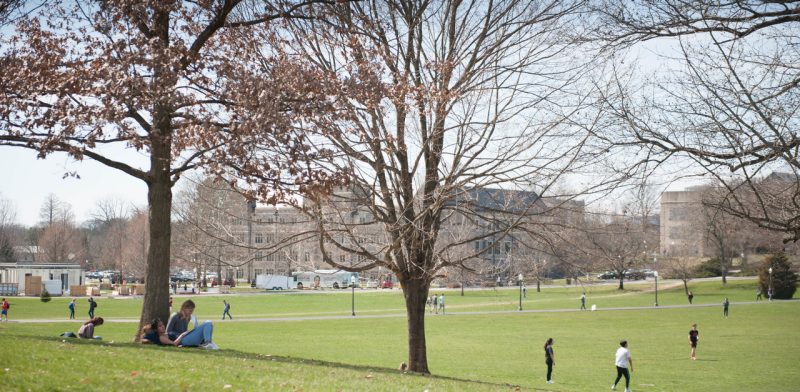 Photo of Drillfield in the fall
