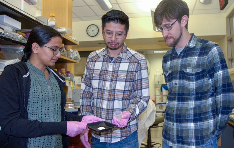 The photo shows Harsimran Kaur, Bryan Hsu, and Rogerio Baraglioli, and Hsu is holding the powdered form of the biomaterial and a menstrual cup.
