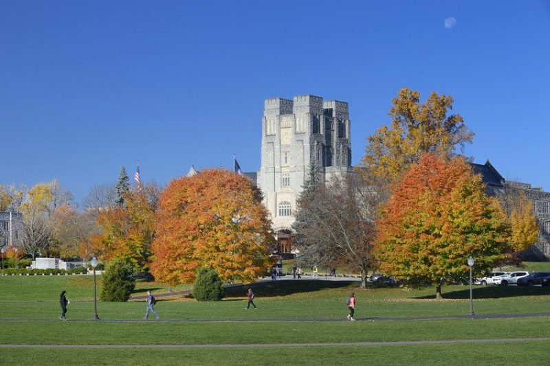 Virginia Tech faculty, administrators selected for ACC Academic Leaders Network